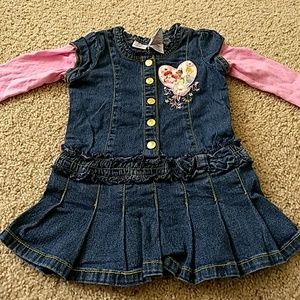 Disney Princess Jean Dress